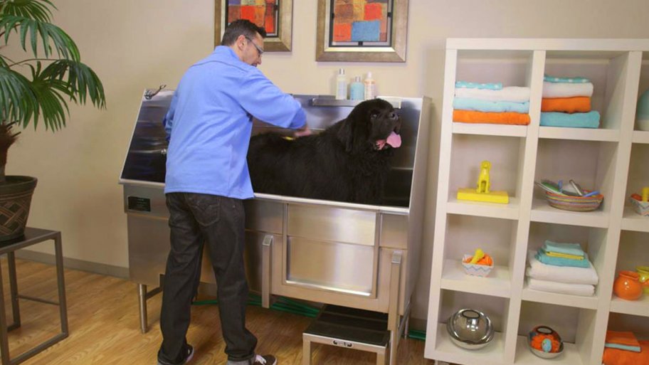 man bathing dog in dog tub